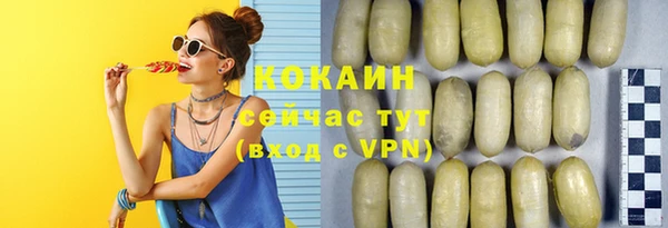 винт Абаза